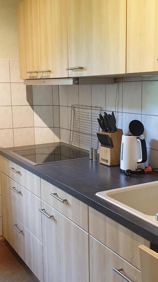 Ferienwohnung An Der Begerburg Dresden Exterior foto
